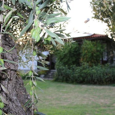 Patroudis House Skala Rachoni (Thasos) Exterior foto
