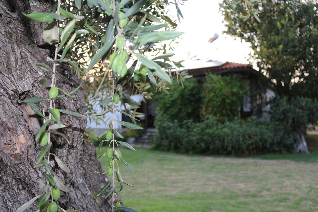 Patroudis House Skala Rachoni (Thasos) Exterior foto