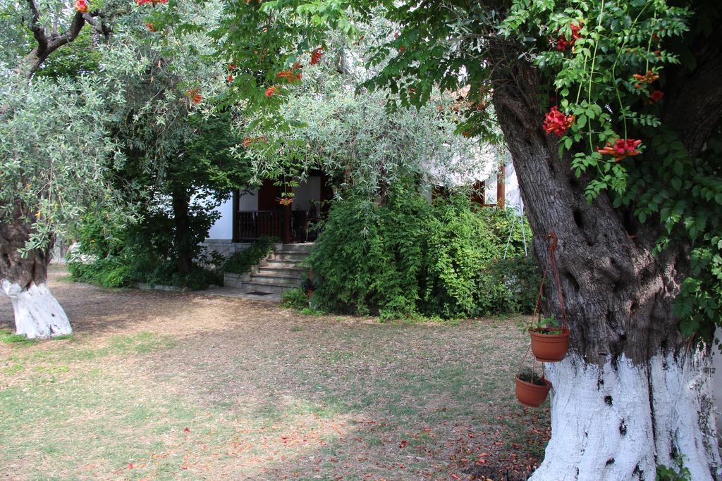 Patroudis House Skala Rachoni (Thasos) Quarto foto